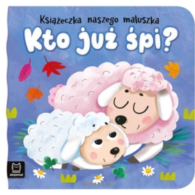 KSIĄŻECZKA KTO JUŻ SPI