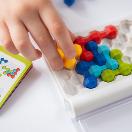 SMART GAMES IQ TWINS