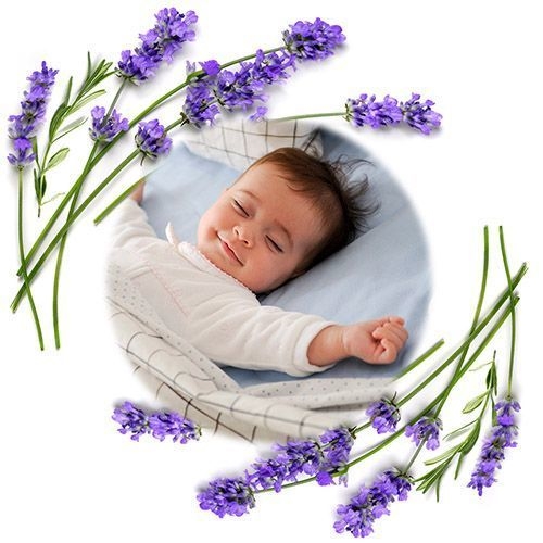 BABYONO TERMOFOR Z PESTEK WIŚNI SZARY