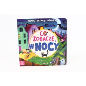 Co zobaczę w nocy 58.11.13.0 34254