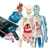 CLE Naukowa zabawa Super anatomia 50919