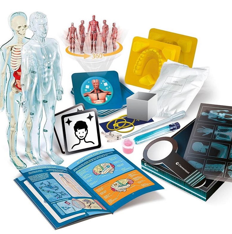 CLE Naukowa zabawa Super anatomia 50919