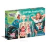 CLE Naukowa zabawa Super anatomia 50919