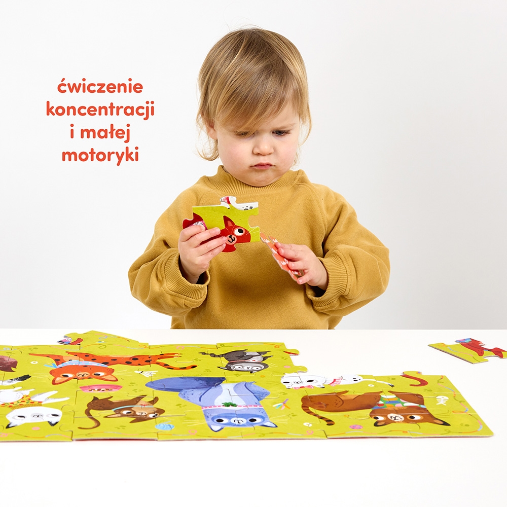 CzuCzu Puzzle Miau Kotki 92184