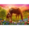 PUZZLE 500 Konie na łące 37451