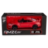 Nissan GT-R R-35 RMZ