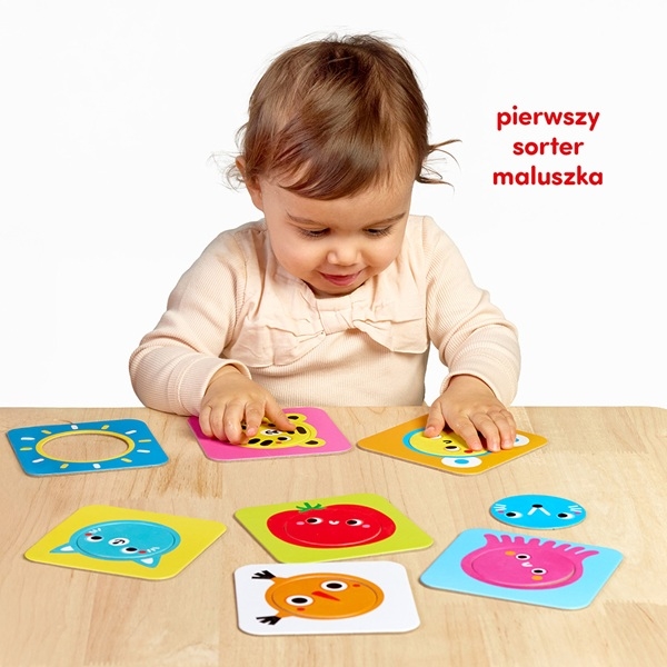Czuczu pierwszy sorter koło 94607