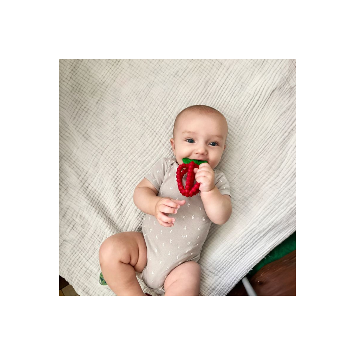 RAZBABY GRYZAK SOCZYSTA MALINA Z LISTKAMI NIEBIESK