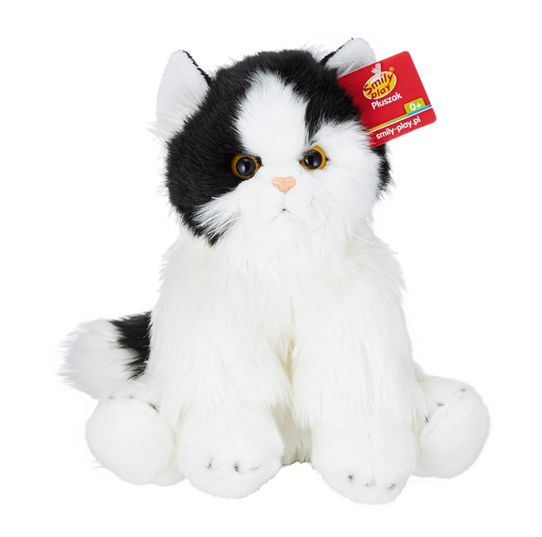 FLUFFY KOT