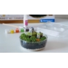 CLEMENTONI HARRY POTTER TERRARIUM