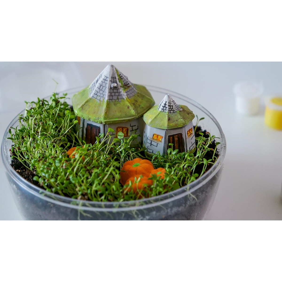 CLEMENTONI HARRY POTTER TERRARIUM