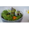CLEMENTONI HARRY POTTER TERRARIUM