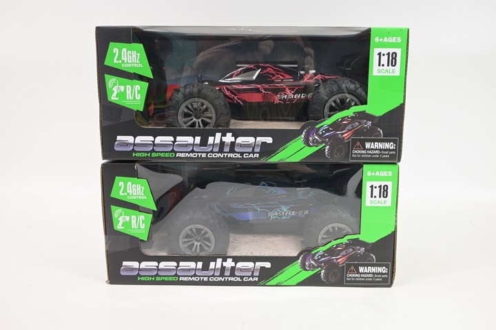 Wyścigówka Sportowa Pilot RC PRO9991 09991