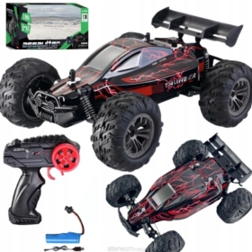 Wyścigówka Sportowa Pilot RC PRO9991 09991