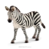 Samica zebry Wild Life