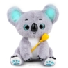 Czarujący Koala