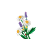 LEGO BOTANICALS 11508 STOKROTKI