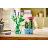 LEGO BOTANICALS 11509 KWITNĄCY KAKTUS