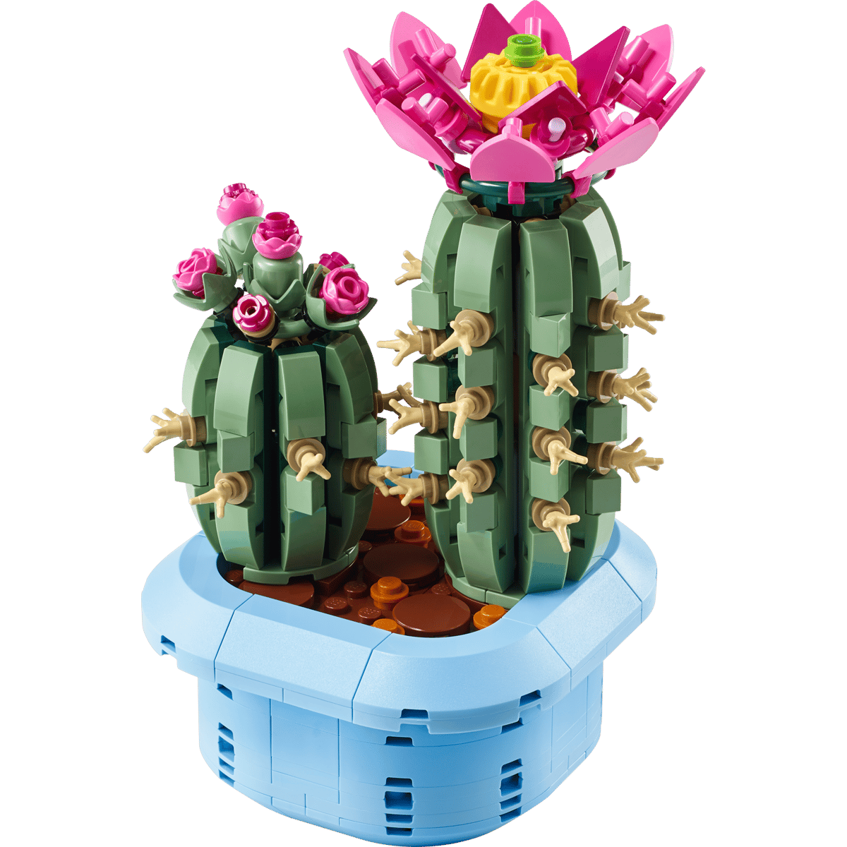 LEGO BOTANICALS 11509 KWITNĄCY KAKTUS