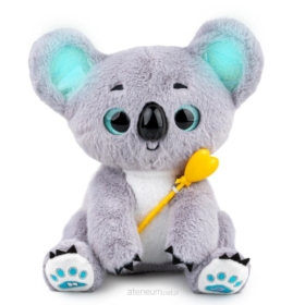 Czarujący Koala