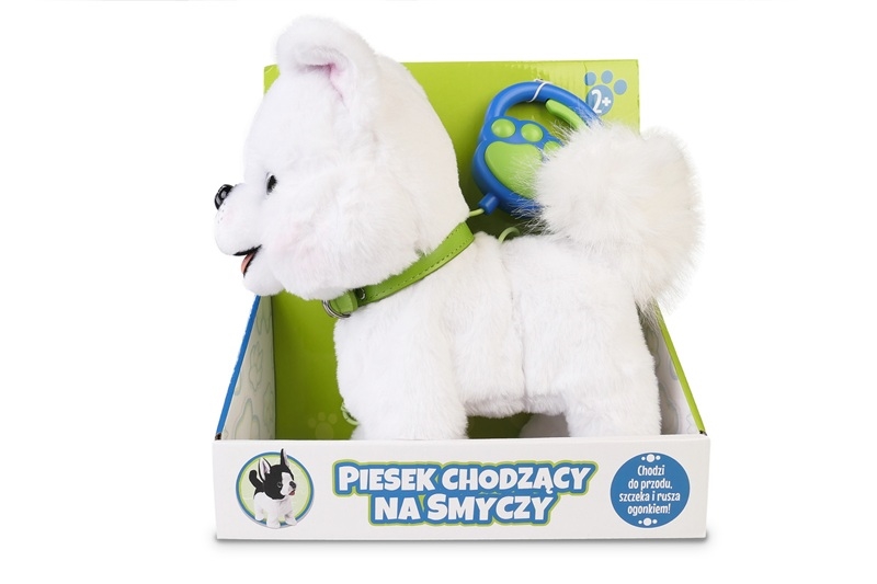 Piesek chodzący na smyczy 169137