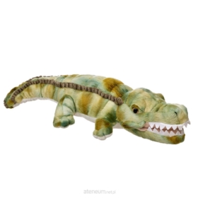 Krokodyl 46cm