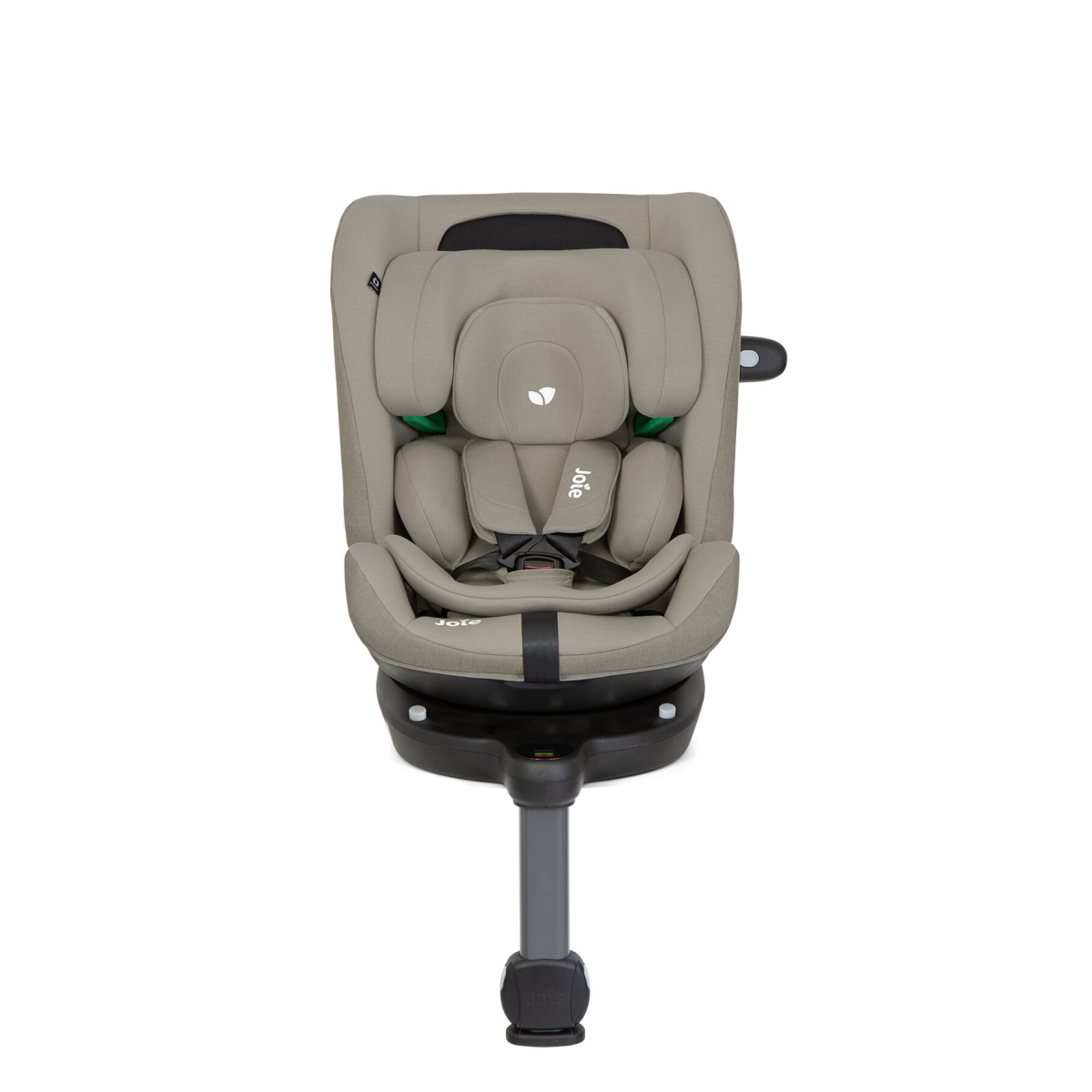 JOIE I-PIVOT GROW OAK