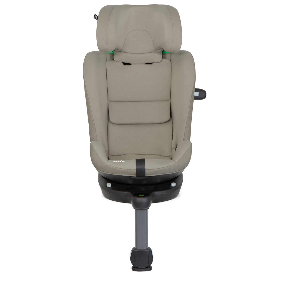 JOIE I-PIVOT GROW OAK