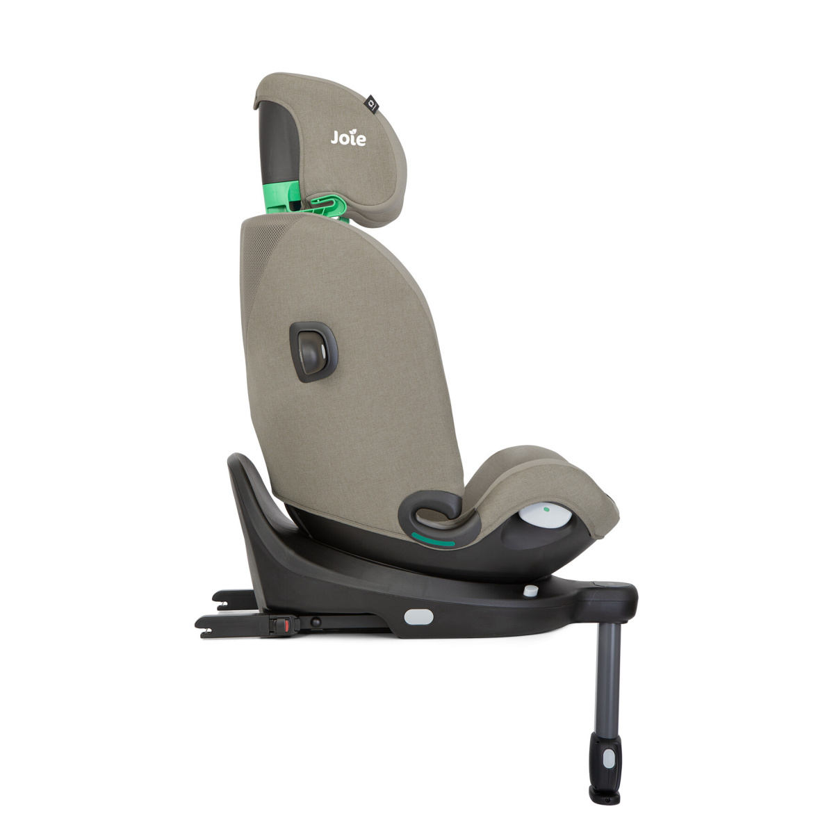 JOIE I-PIVOT GROW OAK