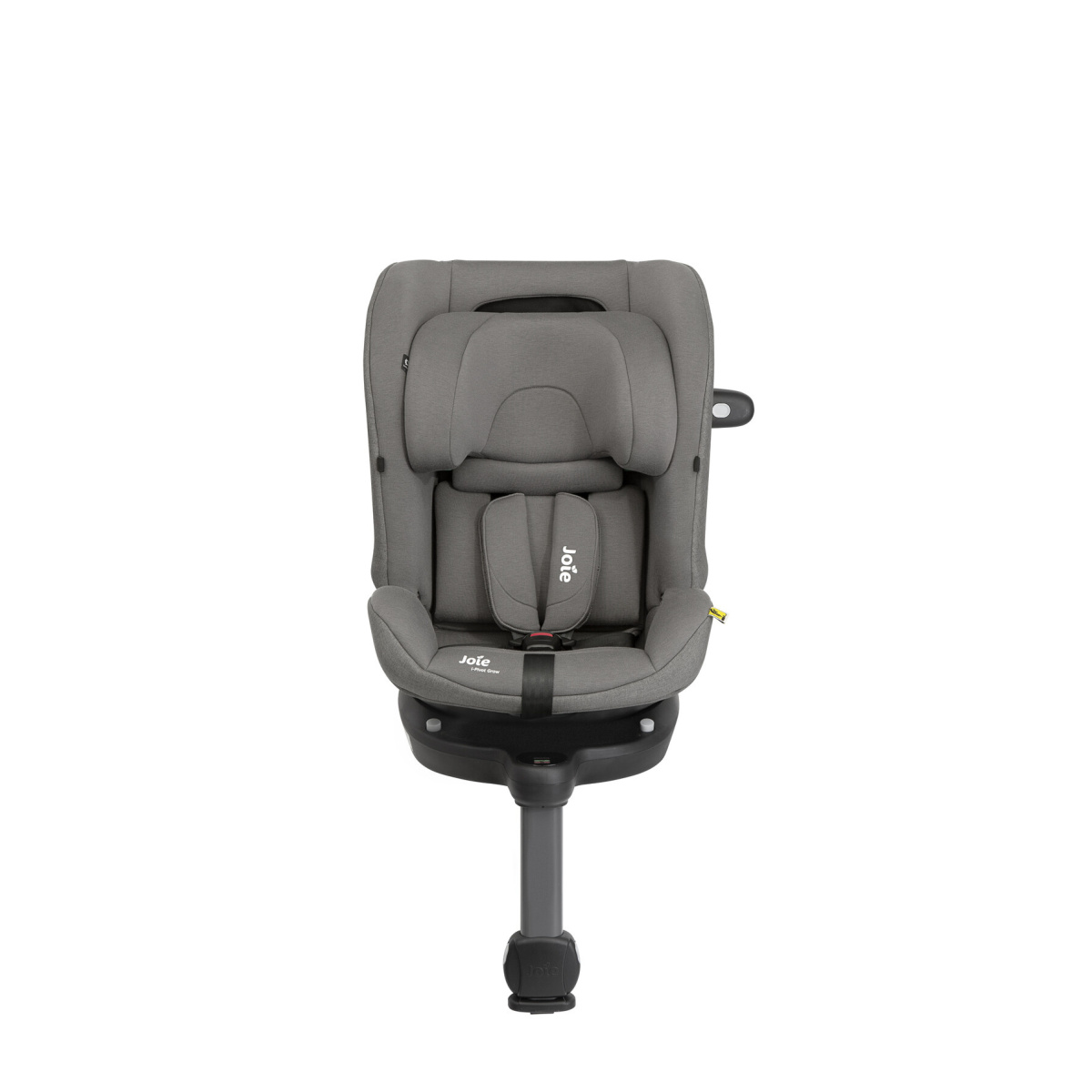 JOIE I-PIVOT GROW THUNDER