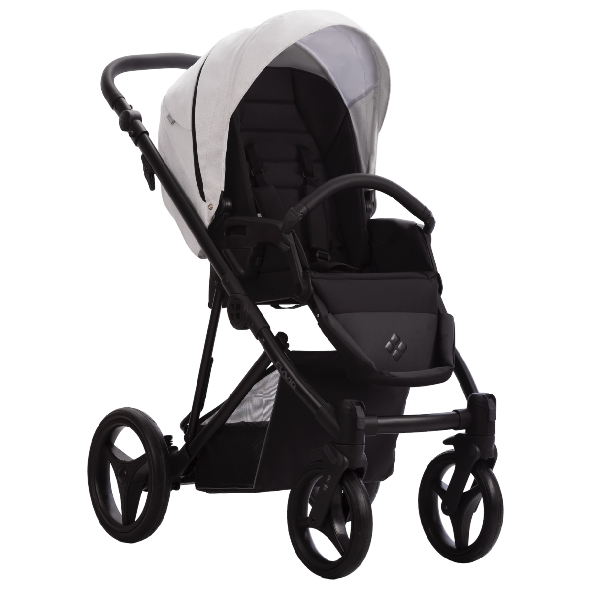 BEBETTO FLAVIO LTD 02