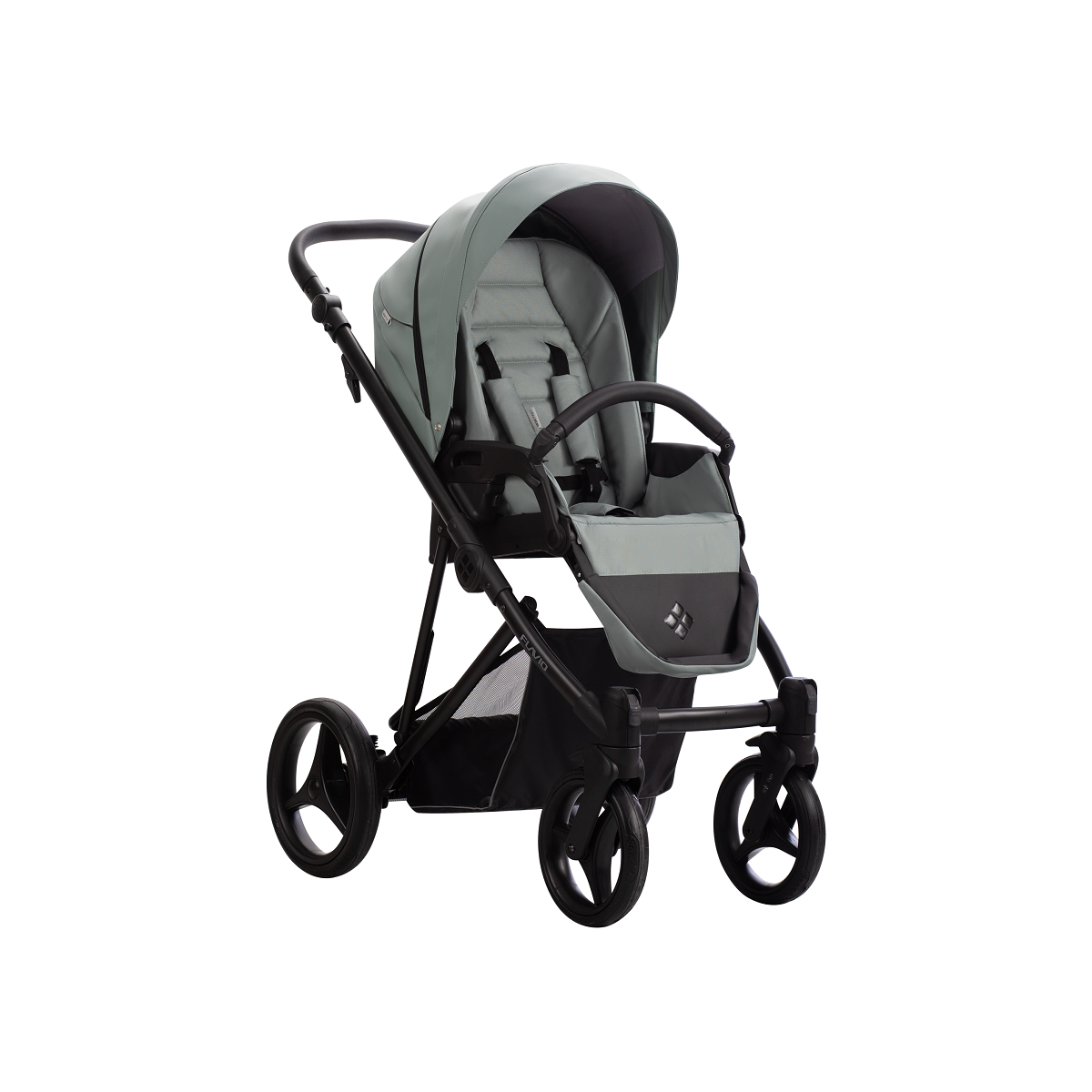 BEBETTO FLAVIO PRO 09