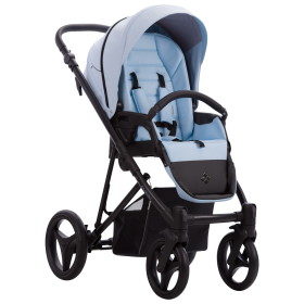 BEBETTO FLAVIO PRO 08