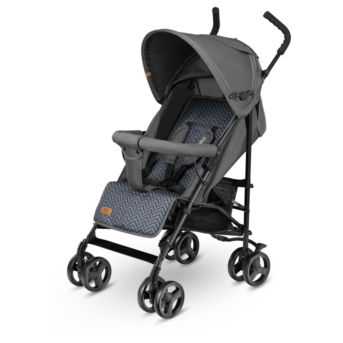 LIONELO ELIA GRAPHITE