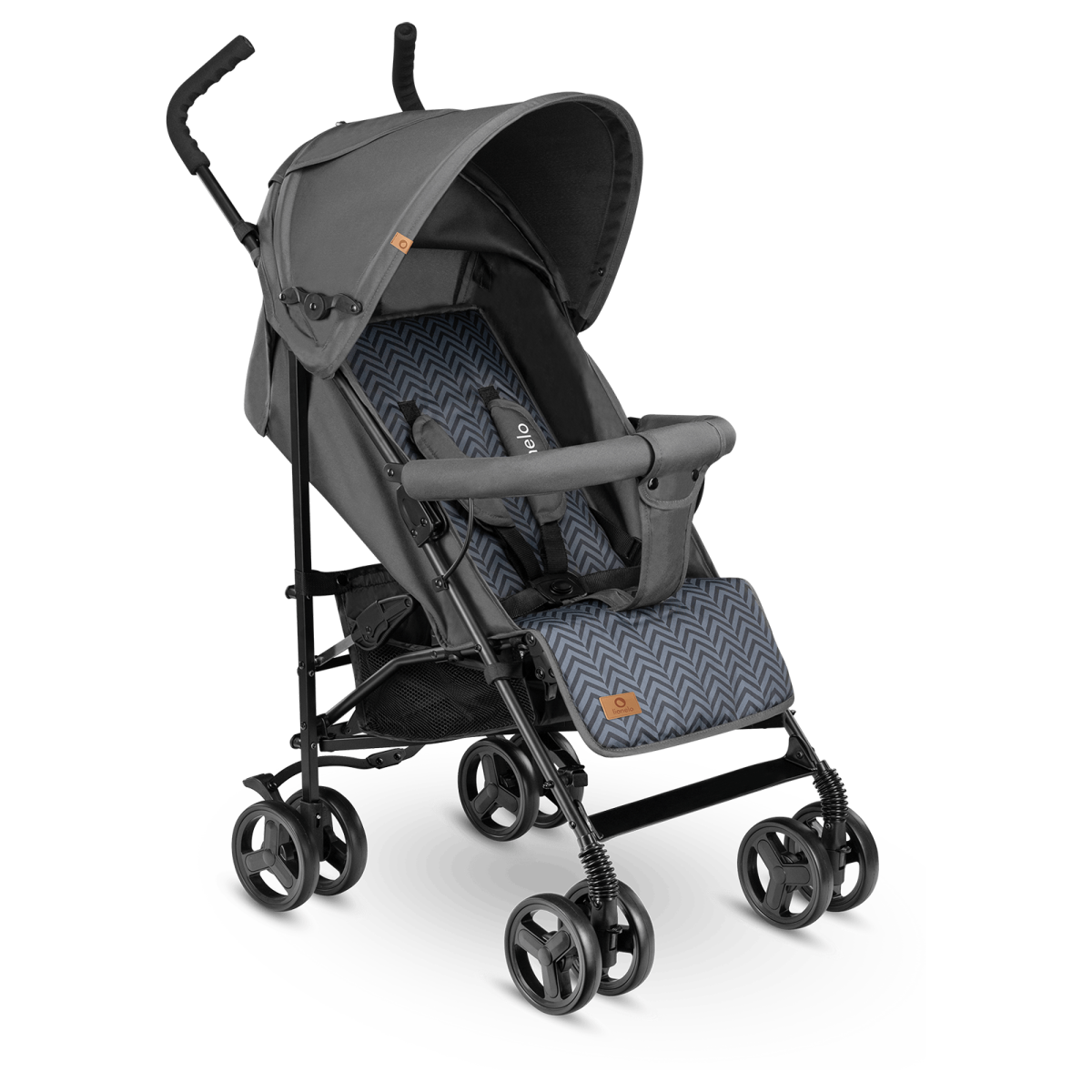 LIONELO ELIA GRAPHITE