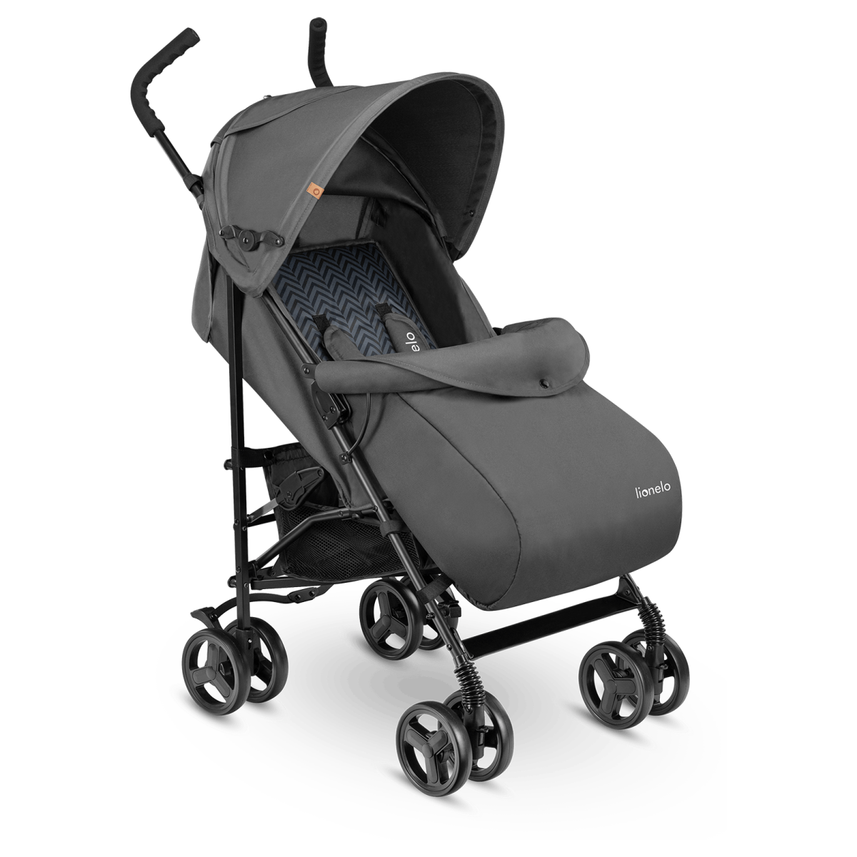 LIONELO ELIA GRAPHITE