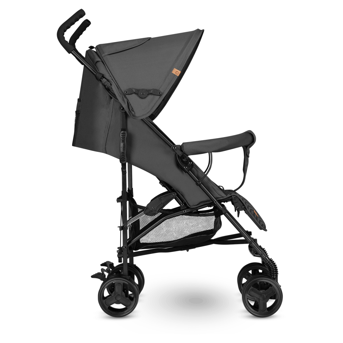 LIONELO ELIA GRAPHITE