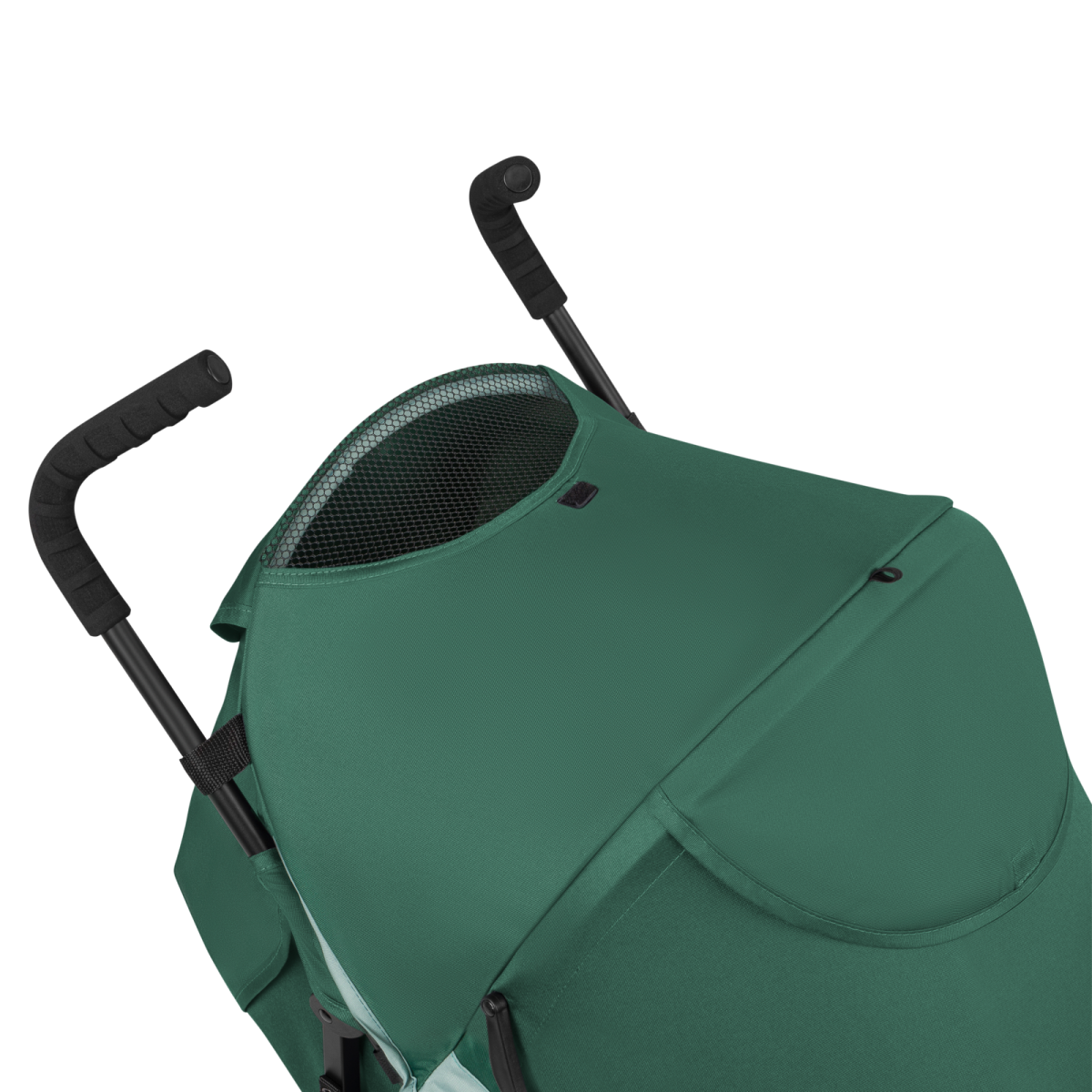 LIONELO ELIA GREEN FOREST