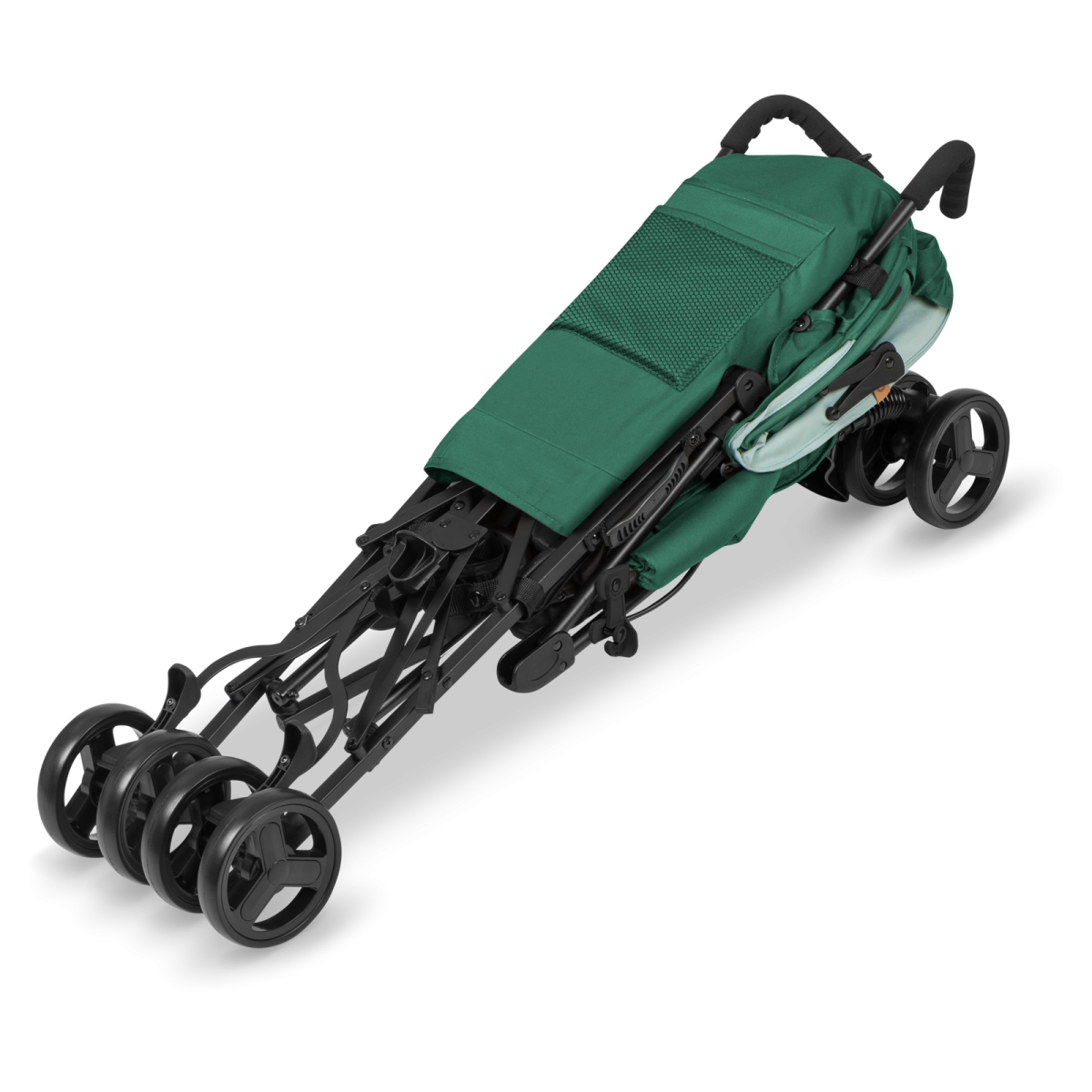 LIONELO ELIA GREEN FOREST