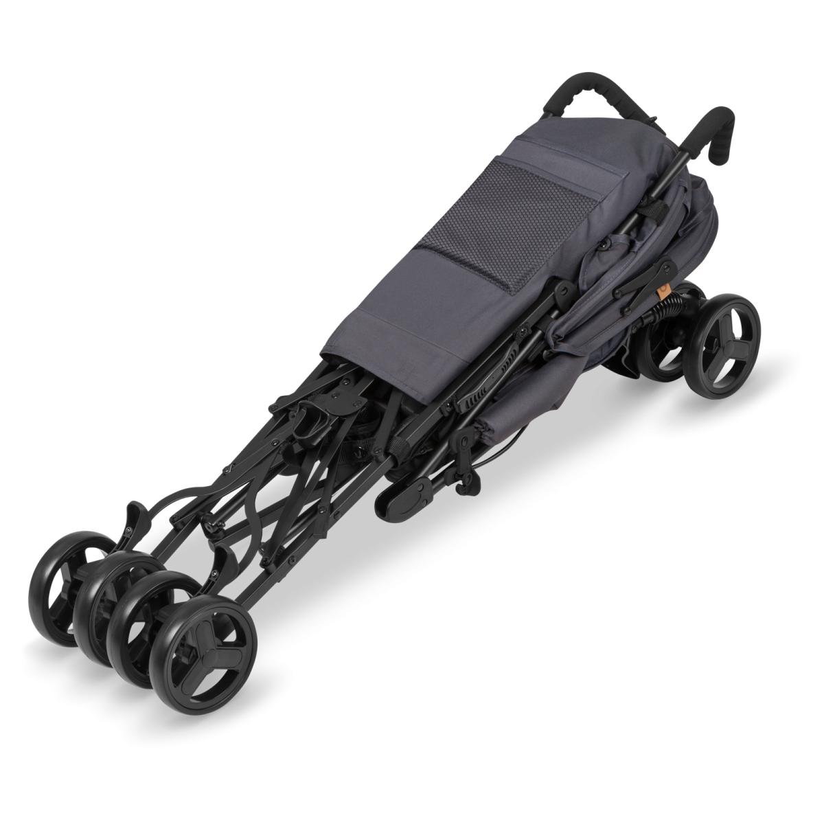 LIONELO ELIA GREY WHITE