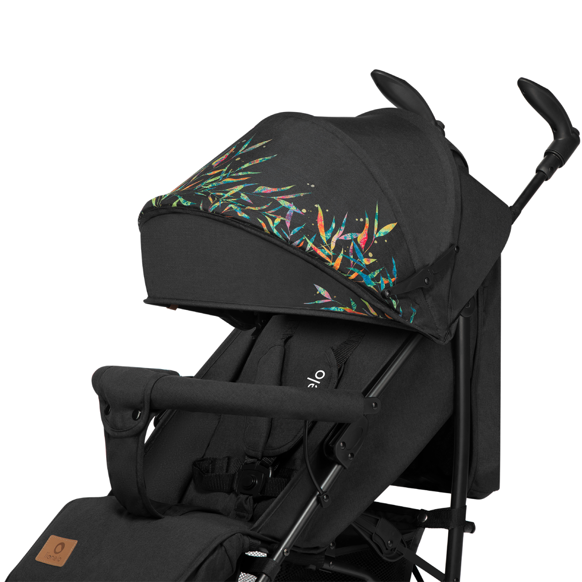 LIONELO IRMA DREAMIN