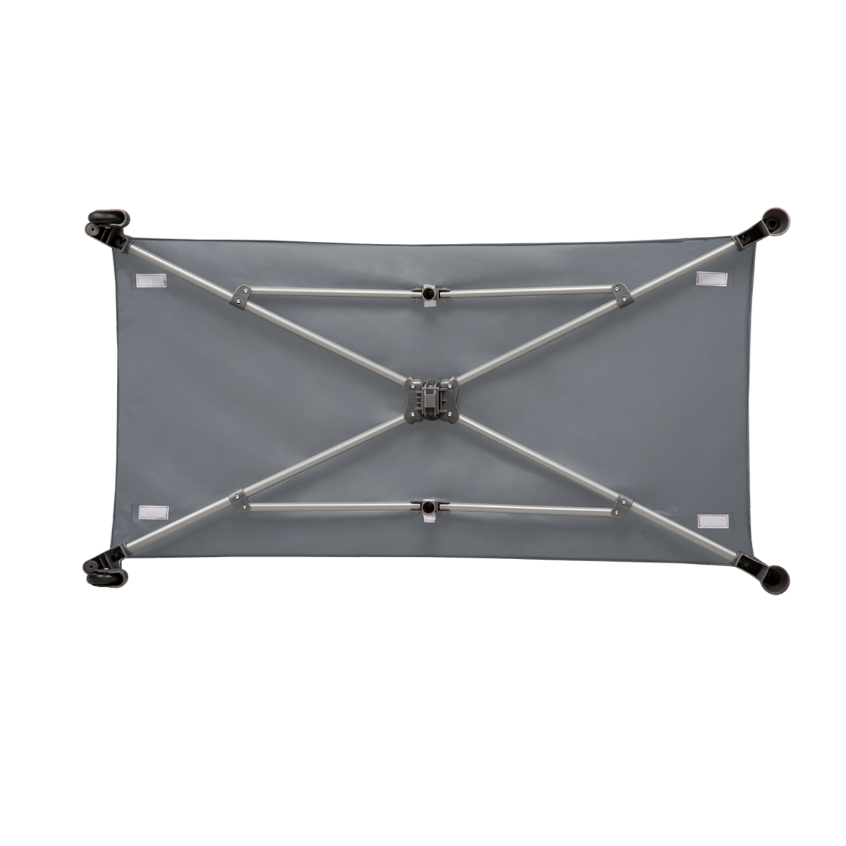 LIONELO STEFI YELLOW LEMON