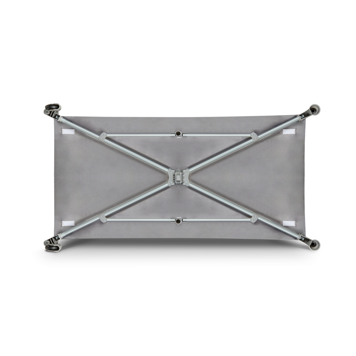 LIONELO STEFI PINK OMBRE