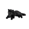 Kot perski leżący czarny 36cm 14104 23223