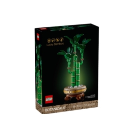 10344 LEGO BOTANICALS Dracena sandera