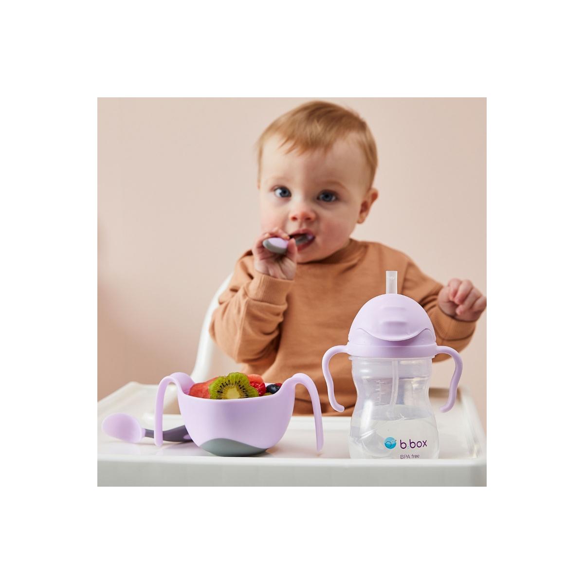 B.BOX BIDON GELATO BOYSENBERRY