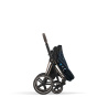 CYBEX PRIAM 4.0 JEWELS OF NATURE ROSE GOLD 2W1