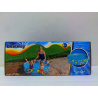 Basen Ogrodowy Dla Dzieci 122 cm x 25 cm Bestway 5