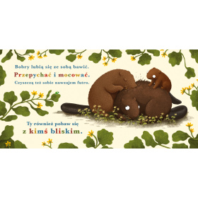 PUCIO ROK W LESIE BÓBR