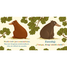 ROK W LESIE NIEDZWIEDŹ